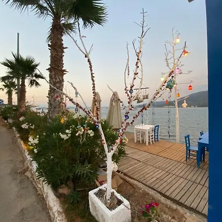 Omar & Otel 3*