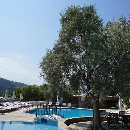 Omar & Otel Torba