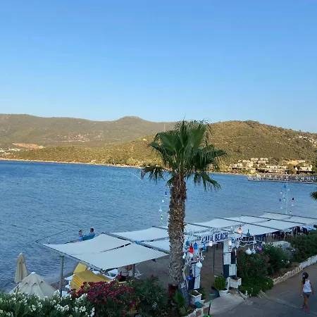 Omar & Otel Torba