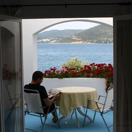 Omar & Otel Torba