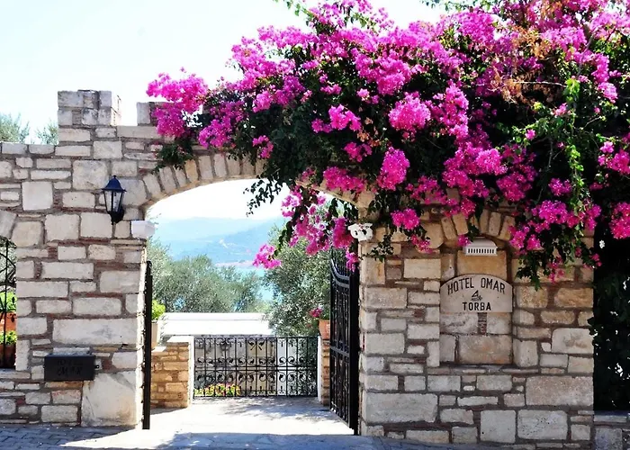 Omar & Отель Торба