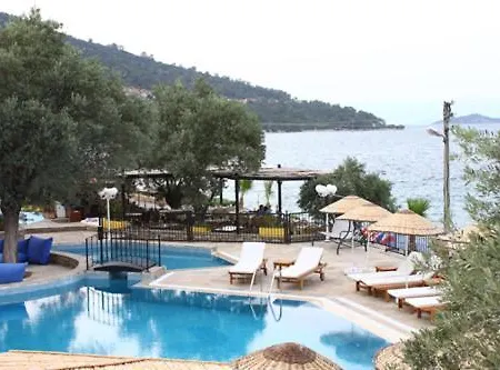 Hotel Omar &