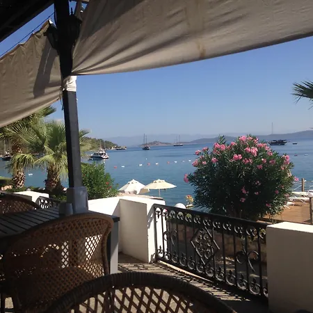 Omar Hotel&suites 3* Torba