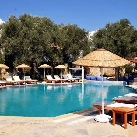 Omar & Hotel Torba
