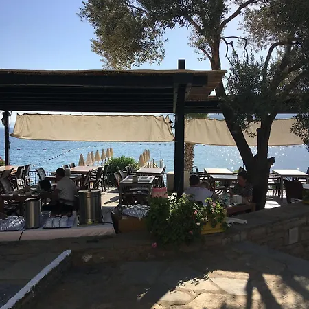 Omar & 3* Torba