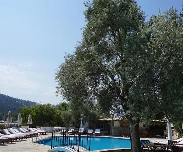 Omar & Hotel Torba