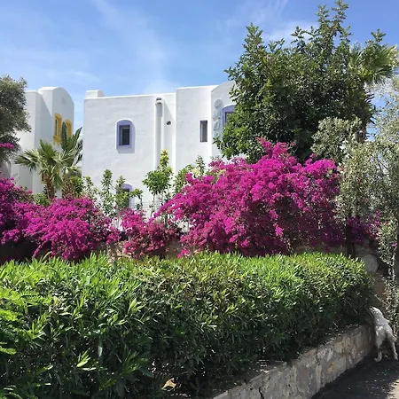 Hotel Omar Torba