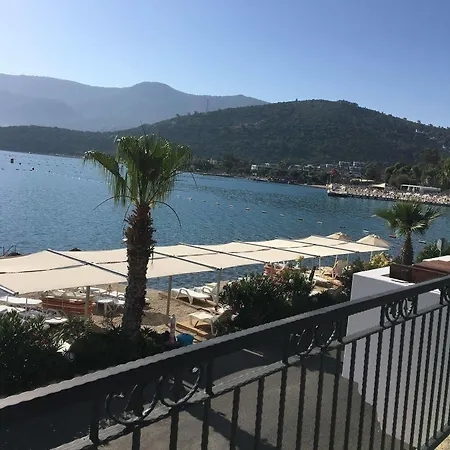 Omar Hotel